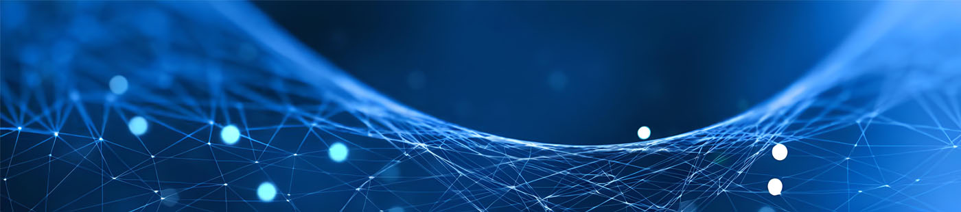 SEGURIDAD CIUDADANA INTEGRAL: TEORÍA, PREVENCIÓN Y ENFOQUE HOLÍSTICO